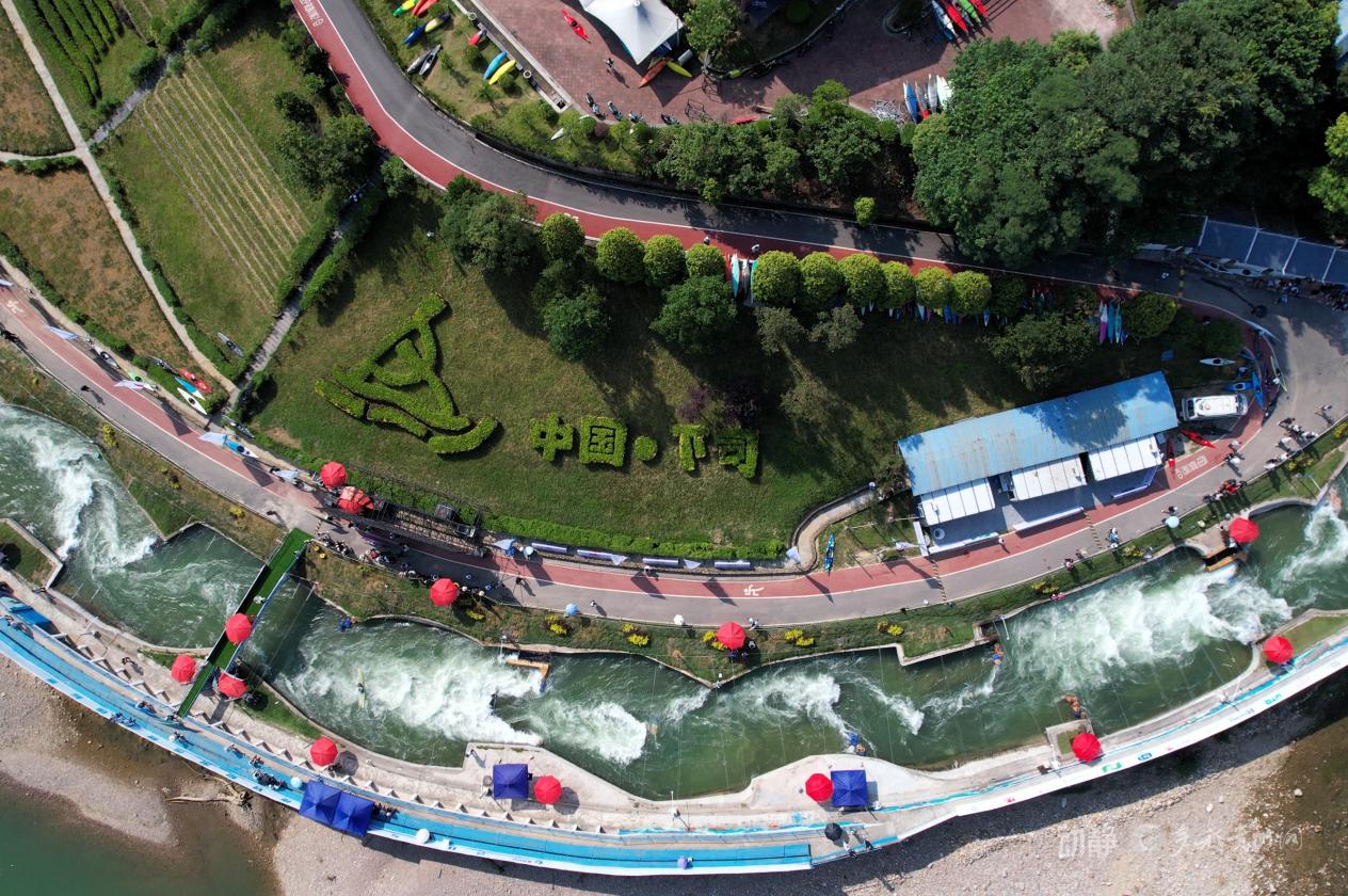 entit, msn, 日在下司皮 entit, msn, 日在下司皮