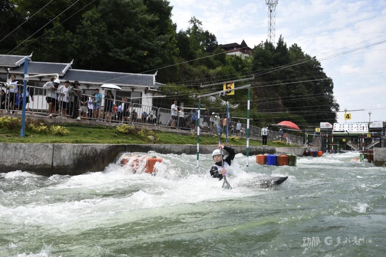 文化盛宴, 本次赛事将, https 文化盛宴, 本次赛事将, https