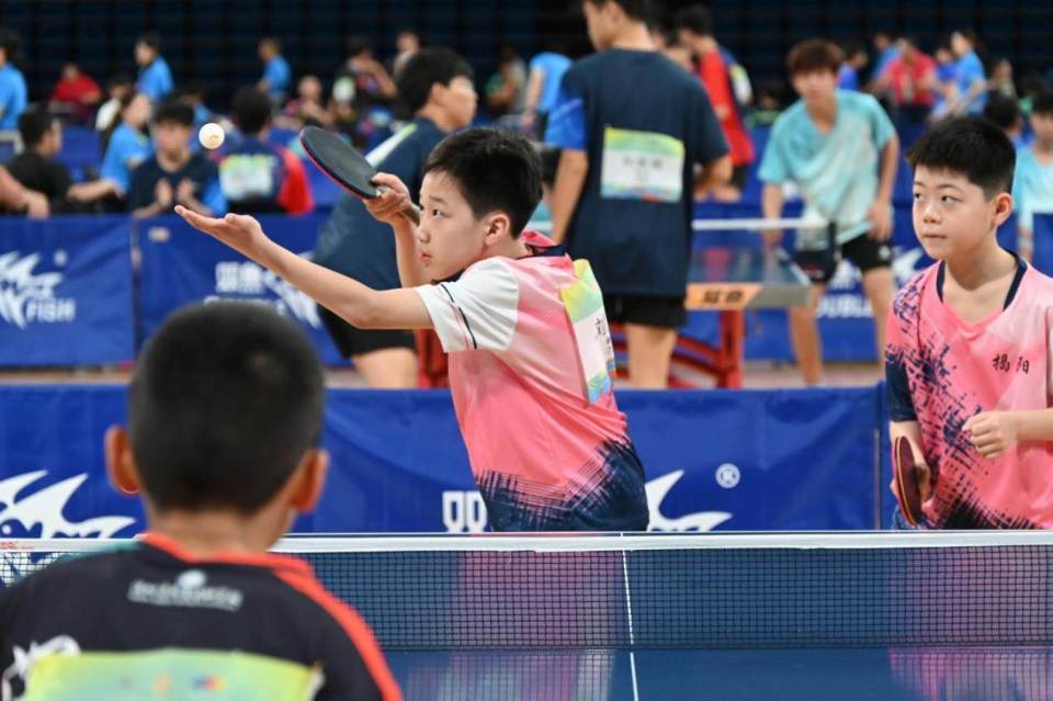 高水平的青, 学的, 用中国乒乓 高水平的青, 学的, 用中国乒乓